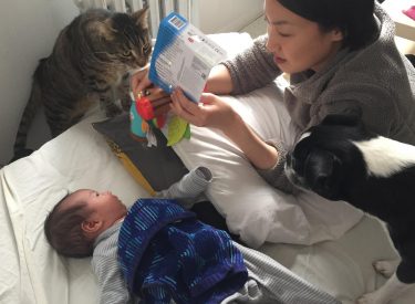 結婚生活7年間子供のように大切に育ててきたペット達に妊娠を機に変化が! ～産後編～