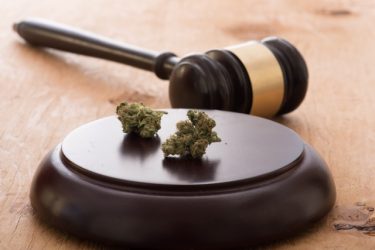 ニューヨーク州でのマリファナ合法化は見込み薄